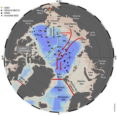 New Constraints on the Physical and Biological Controls on the Silicon Isotopic Composition of the Arctic Ocean